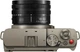 Фотоаппарат Panasonic Lumix S9 Black Titanium + 18-40mm f/4.5-6.3 Kit (DC-S9NE-NB) - изображение 4