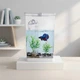 Аквариум самоочищающийся My Fun Fish для рыб - изображение 1
