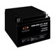 Аккумулятор AGM LPM 12V - 26 Ah (3133246425) - изображение 3