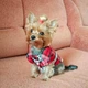 Рубашка в клетку для собак OhMyPet, размер S вес 3 - 6 кг черно-бело красная (PET-1-1) - изображение 3
