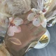 Атласні штори з квітами оливкового кольору 150х270 з тюлистом батистовим 400х270 на тасьме ALBO (2000003536269) - зображення 5
