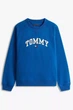 Світшот Tommy Hilfiger 56(3XL) Синій (151702) - зображення 2