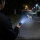 Фонарик + отпугиватель BL 1158 / Электрошокер-фонарь Police-1158 / LED фонарь ручной (6598-14108) - изображение 3