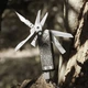 Мультитул NexTool Pocket Tool E1 10 в 1 (NE20287) - зображення 2
