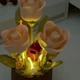 Конструктор - светильник «Сад роз» с LED-подсветкой, 255 деталей и эффект раскрытия цветов - изображение 13
