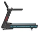 Профессиональная беговая дорожка Vigor 6200S - изображение 4