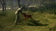 Ключ активации theHunter: Call of the Wild - Hunting Pro Bundle для Xbox One/Series S/X - изображение 3