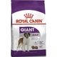 Сухий корм для собак Royal Canin Giant Adult для гігантських порід більше 45 кг від 18 місяців 15 кг - зображення 1