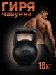 Гиря чавунна Newt 16 кг (NE-100-1600) - зображення 1