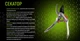 Секатор Alloid Pro PS-200377 200 мм лезвие SK5 V14410 - изображение 5