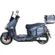 Электроскутер Tailg F73L LT-365 Graphitе [172322] - изображение 2