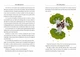 Книга The Little Prince (Маленький принц). Чтение по-английски A2–B1 - изображение 5
