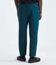 Брюки мужские The North Face Tekware™ Grid Pants M Синій NF0A84F14H0 - изображение 2