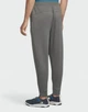 Брюки мужские The North Face Horizon Performance Fleece Pant Smoked Pearl L Сірий NF0A874Z0UZ - изображение 3