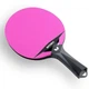 Набор для настольного тенниса Butterfly Outdoor Set 2 Bats 3 Balls (6017973602-1) - изображение 2