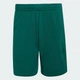 Чоловічі шорти ADIDAS KIT SMALL LOGO adidas KW2303 (2XL 18 см) зелений (4069989030176) - зображення 6