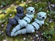 Брелок Выдра Подвижная Articulated Otter Toy Keychain 10 См 3Д Печать - изображение 5