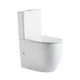 Унитаз компакт Q-tap Robin New 660x360 овальный, с сиденьем, белый (QT13226083AW) - изображение 1