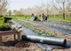 Агротканина Agreen 100г/м² (1.6х10м) чорна для мульчування 88838 - зображення 4