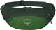 Поясная сумка Osprey Daylite Waist для путешествий нейлоновая с отделением для ключей Green Belt/Green Canopy - изображение 2