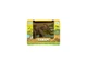 Фігурка KIDS TEAM ANIMALS тварини "Сафарі" Q9899-A83 Слоненя в асортименті - зображення 2