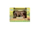 Набір тварин KIDS TEAM ANIMALS "Сафарі" Q9899-A20 Тигриця та тигренята - изображение 6