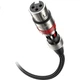 Мікрофонний кабель KELEPU KL-AUC069 Mini-Jack 3.5 мм — 2 XLR, жіночі 8 м - зображення 2