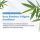 Інтенсивно зволожуючий заспокійливий крем для обличчя з бамбуковою водою та гвайазуленом Dr. Althea Aqua Marine Watery Cream 50ml - зображення 4