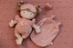 Maskotka Little Dutch Lalka Rosa 40 cm GRS (LD4679) (8713291446793) - obraz 17