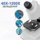 Детский микроскоп uSmart 1113A-1 1200x Белый - изображение 9