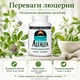 Alfalfa 648mg - 250 tabs - изображение 2