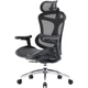 Офисное кресло Sihoo DORO C300L Mesh Black (DORO-C300L-A3-101) - изображение 1