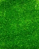 Чеський бісер для вишивки Preciosa 10/0 50430 зелений 50 г - изображение 1