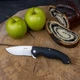 Ніж складаний туристичний Ruike Fang P852-B, (8.9 см) 14C28N / G10 чорний - зображення 7