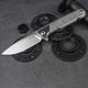 Нож складной туристический Ruike P875-SZ, (8.9 см) 14C28N / steel 420 серый - изображение 5