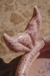 Басейн Little Dutch Ocean Dreams Колекція Mermaid 80 см Рожевий (8712051154275) - зображення 9