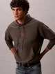 Худи мужское Calvin Klein 4RC281G-PAR(Beluga) M Коричневое (196669465486) - изображение 5