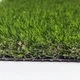 Искусственная трава для декора CCGrass Aman 40 2м. - изображение 4