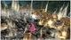 Gra Dragon Quest Heroes na PlayStation 4 (5021290068124) - obraz 4