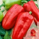 Перец сладкий Богатырь, 0,3 г, Садиба - изображение 3