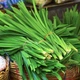Лемонграсс, цимбопогон, 0,05 г - изображение 2