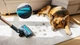 Акумуляторний пилосос Cecotec Rockstar RS90 Pet Flex Detect Conga (A01_EU01_123024) - зображення 5