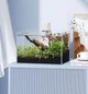 Мініавтомашка для акваріума YEE Smart Fish Feeder Wi-Fi - зображення 5