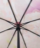 Жіноча парасоля складна Антивітер Doppler принт Delicate Blossoms - зображення 5