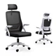 Офисное кресло Hanert Fest Black/White 5170054 - изображение 1