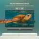 Кабель мультимедийный Display Port to Display Port 5.0m V1.2 DP102 Ugreen - изображение 7