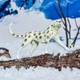 Набор реалистичных фигурок морских животных PALYFULHOME: белая акула, кит, подводный мир, для детей - изображение 7