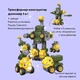 Машинка-конструктор OTAMANKO Трансформер Динозавр 5 в 1 Жовтий/Зелений - изображение 4