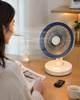 Портативный вентилятор SkyBerg с LED-подсветкой / Переносной настольный вентилятор + пульт ДУ - изображение 3