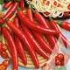 Семена Перец острый Каенский 0,2 г Садыба - изображение 2